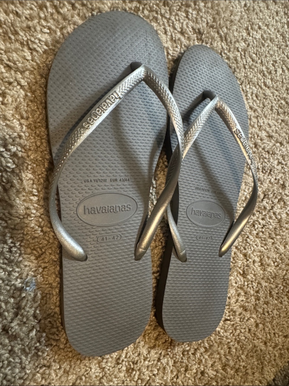 Havaianas Silver Metallic Flip Flops